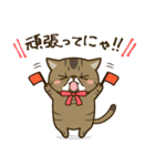 ぶちゃかわ猫、くりのスタンプ（個別スタンプ：4）