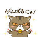 ぶちゃかわ猫、くりのスタンプ（個別スタンプ：5）