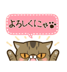 ぶちゃかわ猫、くりのスタンプ（個別スタンプ：8）