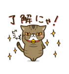 ぶちゃかわ猫、くりのスタンプ（個別スタンプ：14）