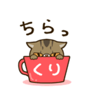 ぶちゃかわ猫、くりのスタンプ（個別スタンプ：21）