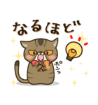 ぶちゃかわ猫、くりのスタンプ（個別スタンプ：25）