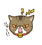 ぶちゃかわ猫、くりのスタンプ（個別スタンプ：27）