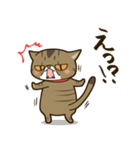 ぶちゃかわ猫、くりのスタンプ（個別スタンプ：28）