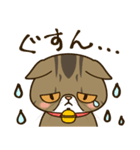 ぶちゃかわ猫、くりのスタンプ（個別スタンプ：34）