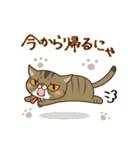 ぶちゃかわ猫、くりのスタンプ（個別スタンプ：35）