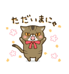 ぶちゃかわ猫、くりのスタンプ（個別スタンプ：36）