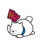 のんびりな白い犬（個別スタンプ：1）