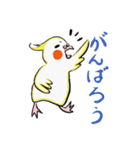 関西弁オカメぴのすけの日常使いスタンプ（個別スタンプ：1）