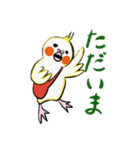 関西弁オカメぴのすけの日常使いスタンプ（個別スタンプ：3）