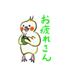 関西弁オカメぴのすけの日常使いスタンプ（個別スタンプ：6）