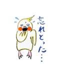 関西弁オカメぴのすけの日常使いスタンプ（個別スタンプ：11）