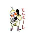 関西弁オカメぴのすけの日常使いスタンプ（個別スタンプ：14）