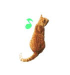 野良猫の「ちゃ」（個別スタンプ：2）