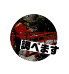 NEXTFIT Kento Official Stamp2（個別スタンプ：23）