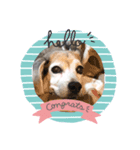 I loveリン（個別スタンプ：1）