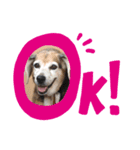 I loveリン（個別スタンプ：6）