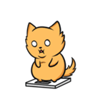 ポメ丸くん（個別スタンプ：7）