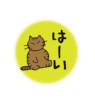 デカ文字 キジトラ猫のよく使う言葉 丸形（個別スタンプ：14）