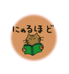 デカ文字 キジトラ猫のよく使う言葉 丸形（個別スタンプ：24）