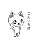 勇者を目指す猫と仲間たち。まほう使い（個別スタンプ：6）
