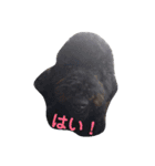 犬 Crystal Dogs出身のわんこたち2（個別スタンプ：13）