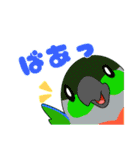 まるまるいんこ（個別スタンプ：2）