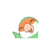 まるまるいんこ（個別スタンプ：3）
