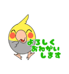 まるまるいんこ（個別スタンプ：13）