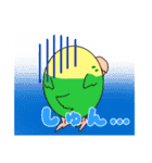 まるまるいんこ（個別スタンプ：16）