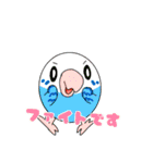 まるまるいんこ（個別スタンプ：20）