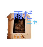 りんごスタンプ第4弾（個別スタンプ：1）