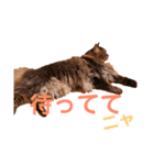 りんごスタンプ第4弾（個別スタンプ：3）