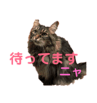 りんごスタンプ第4弾（個別スタンプ：4）