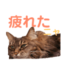 りんごスタンプ第4弾（個別スタンプ：5）