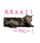 りんごスタンプ第4弾（個別スタンプ：7）