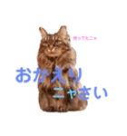 りんごスタンプ第4弾（個別スタンプ：9）