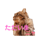 りんごスタンプ第4弾（個別スタンプ：10）