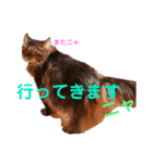 りんごスタンプ第4弾（個別スタンプ：11）