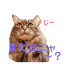 りんごスタンプ第4弾（個別スタンプ：12）