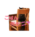 りんごスタンプ第4弾（個別スタンプ：14）