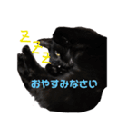 ポンポンポーちゃん（個別スタンプ：3）