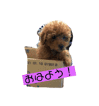 りくのごあいさつ（個別スタンプ：1）