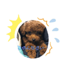 りくのごあいさつ（個別スタンプ：6）