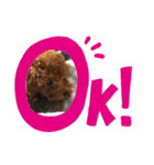 りくのごあいさつ（個別スタンプ：8）