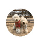 愛犬らぶり＆アーサーのスタンプ第4弾（個別スタンプ：2）