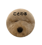 愛犬らぶり＆アーサーのスタンプ第4弾（個別スタンプ：5）