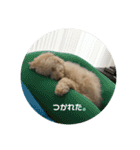 愛犬らぶり＆アーサーのスタンプ第4弾（個別スタンプ：11）