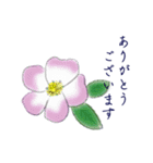 シンプルな一輪の花の丁寧語スタンプ（個別スタンプ：1）