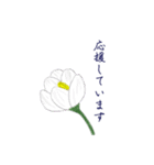 シンプルな一輪の花の丁寧語スタンプ（個別スタンプ：12）